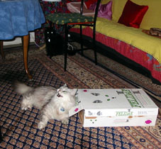 futter05a.jpg (27563 Byte)